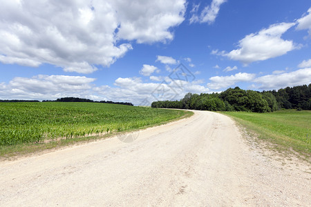 夏天草地一条宽阔的沙子和砾石公路穿过经济田地和森林夏季风景乡村公路小麦图片