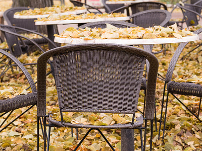 公园里椅子传统的咖啡馆闲暇秋天空露咖啡厅户外的空梯田式咖啡厅落叶在桌椅上的子和封闭咖啡厅空桌铺满秋假背景