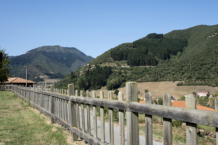 玩在一个草地的木篱笆中背景里有山峰的阿斯图里亚Asturias地面图片