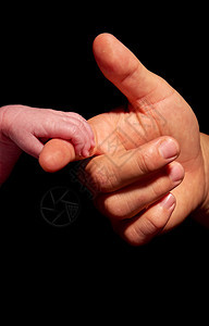 成人持有的婴儿手纯真为人父母皮肤图片