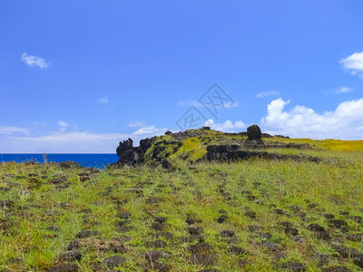 海滩步户外复活节岛的质景观植被和海岸复活节岛的质植被和海岸图片