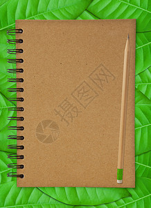 空的在木本背景上回收笔记本和木铅供应绿色图片