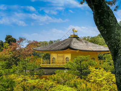 京都日本花园金庙19207年4月9日本京都的林木寺佛教徒自然屋图片