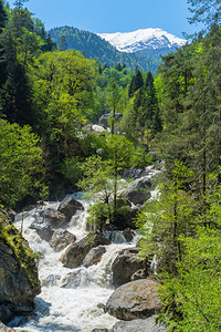 天空落下速度有瀑布的山区河流在绿色森林中动高加索山脉春季景观有瀑布的山区河流在绿色森林中动图片