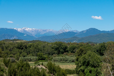 夏天美丽的一片绿林山地和蓝天空的风景一片绿色森林山地和蓝天空的风景一种背景图片