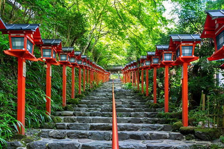 渝贵铁路社区日本京都Kifune神庙红色传统灯杆爬坡道绿色背景