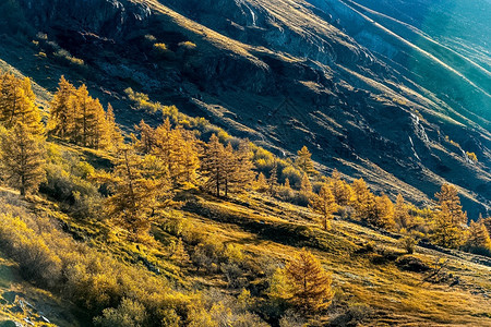 阿尔泰山和间峡谷的自然景观阿尔泰山和间峡谷的自然景观天空经过旅行图片
