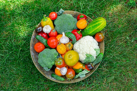 销售成熟种植在草地上碗里的有机蔬菜收获在花园的番茄黄瓜胡椒和其他蔬菜收获在花园中的西红柿胡椒和其他蔬菜营养图片