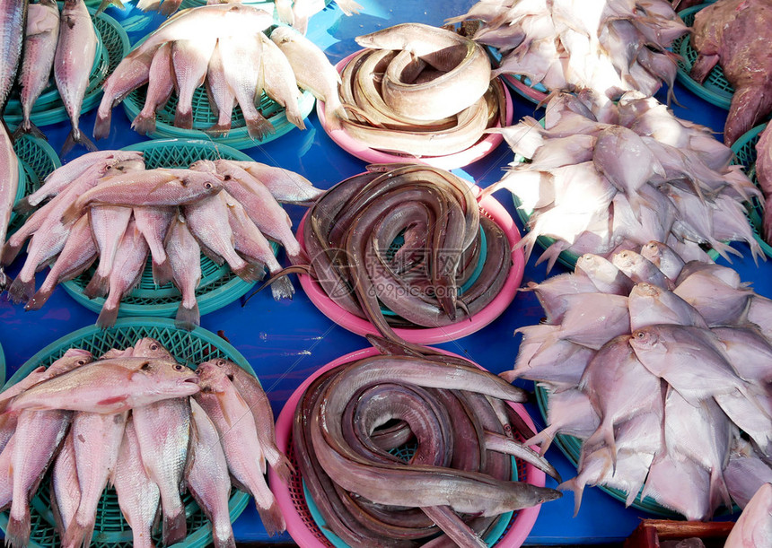 准备食物供在釜山Jagalchi鱼市场销售的新鲜鱼韩国在Jagalchi市场销售鲜鱼亚洲图片