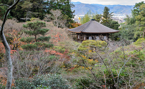 日本京都市秋色的银阁寺庙空中观景文化亚洲美丽的图片