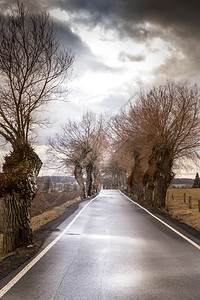 巷道冬季天空晴朗的树木之间直沥青路驾驶图片