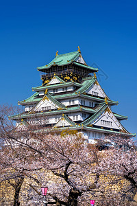 古老的日本大阪樱花和城堡观光姬路图片