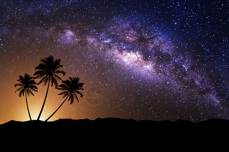 植物与银河系和椰子树的夜景紫色科学图片