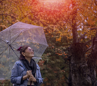 游客快乐的有雨伞亚洲女人站在多姿彩的贾潘公园中季节变秋冬东京图片