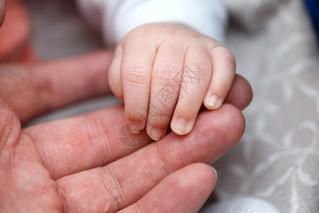 抓住白色的为人父母小手指一个新生婴儿在芒rrrqopos的手掌上握着一只紧地缩小了重点领域的深度图片