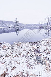 明亮的冬天冷冻森林湖景色很美气候环境图片