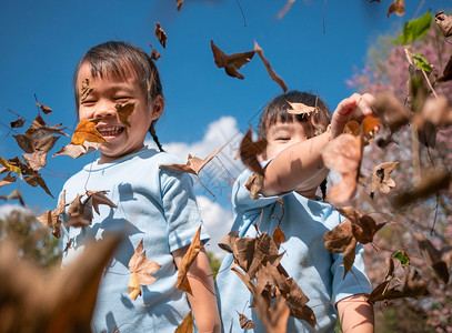 带着妹在秋天公园扔黄色树叶的快乐小女孩儿外部美丽快乐的图片