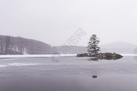 冷若冰霜降雪干净的冬天冷冻森林湖景色很美图片