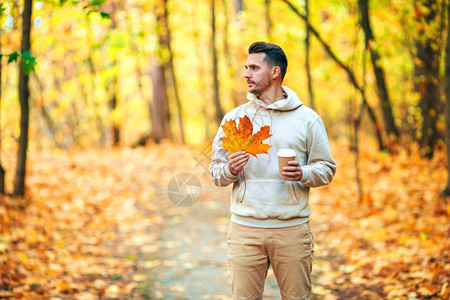 健康英俊的年轻男子在秋天公园装扮在秋日公园露户外和谐温暖的图片