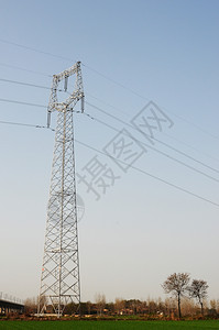 活力植物塔架以蓝天空为背景的高压输电线以蓝天为背景图片