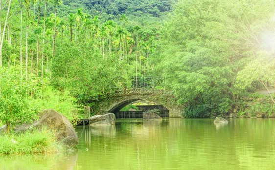 带池塘和桥梁的热带公园三亚带池塘和桥梁的热带公园三亚地标红色的东方图片