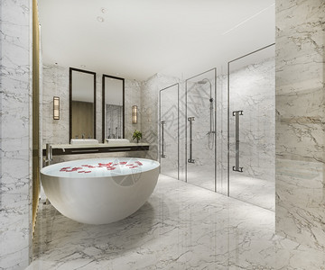 住宅经典的3D提供经典现代洗手间配有豪华瓷砖装饰室内的图片