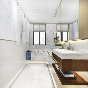 淋浴灯3d提供现代厕所配有豪华瓷砖装饰毛巾图片
