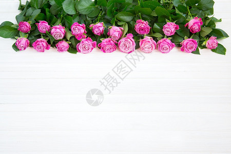 礼物美丽的粉红玫瑰花在白色木头背景的上美丽粉红玫瑰花春天盛开图片