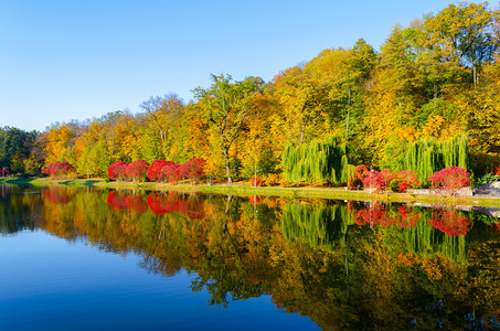 斑驳明亮地秋天下午有湖景的秋季风金子图片