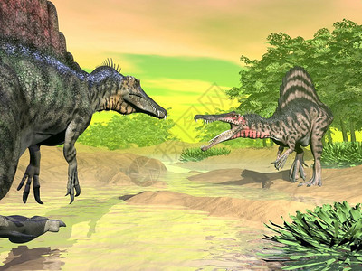 热带日落两只脊柱龙恐在自然界中以富多彩的白天脊柱龙恐对抗口黄色的图片
