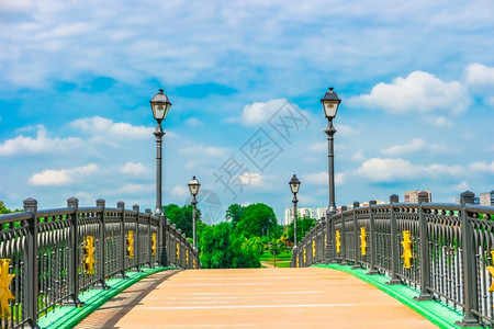 建筑学自然俄罗斯莫科欧洲沙里察诺公园桥梁历史图片