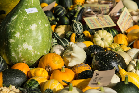 壁球南瓜和蔬菜密闭十月新鲜的图片
