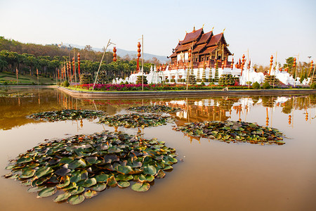 著名的传统泰国清迈皇家花劳拉特恰普赫鲁克公园天空图片