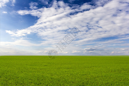 外部绿草和蓝天空地背景的草和蓝天空场地自然多云的高清图片素材