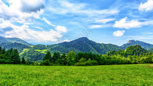 明亮的草山地景观有云背景的蓝天上喀尔巴阡山脉紫色的图片