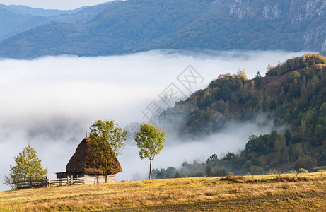 阳光罗马尼亚农村阿普塞山脉美丽的雾明日风景树天气图片