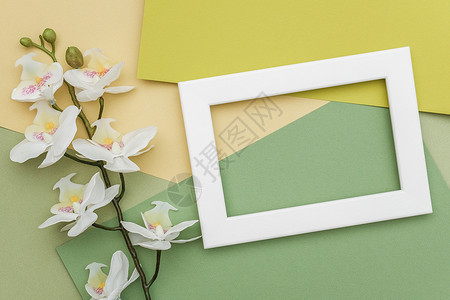 颜色白的几何绿阴影纸背景上的兰花白框和分支复制空间为您设计春季或夏概念的样机几何绿色阴影纸背景上的兰花白框和分支复制空间为您设计图片