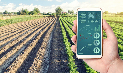 带有农田种植背景信息图表的电话作物成熟过程水分和土壤营养农业工和食品生产中的创新技术农场食物评估图片