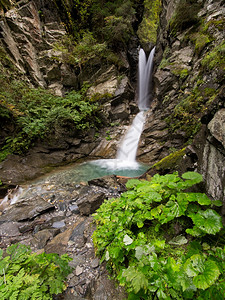 远足小瀑布有绿色的叶子在地面上福利安宁图片