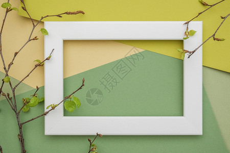 绽放一棵树的白框和枝在几何绿色阴影纸背景上带有年轻的开花叶子复制空间为您的设计模型春天概念树叶季节图片
