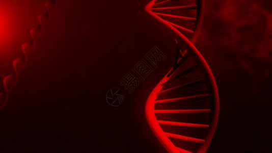 墙纸在抽象的红色背景3d插图上的脱氧核糖酸结构细胞疾病图片