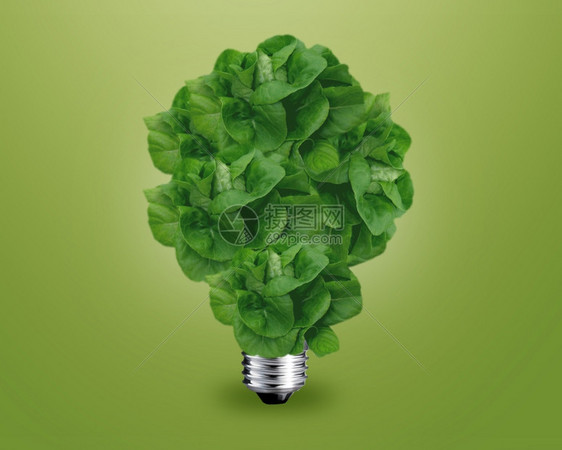 生态概念绿灯泡作为一棵树浪费责任自然图片