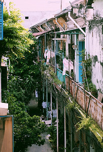 越南语建造赛在胡志明市城镇古老的建筑公寓外面令人惊异以时间颜色在越南黄志明市时尚的旧公寓景丽美古型老房子和绿色的墙上杂草图片