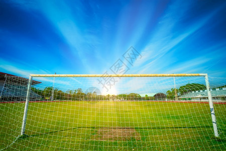 草地绿色在蓝天背景的体育场上公共足球比赛或橄榄图片