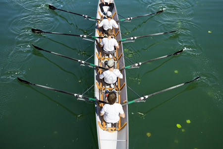臭鼬速度运动的四队船在宁静湖上划船图片