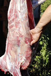 一种为了山羊肉屠宰者切将山羊雕刻为肉新鲜的图片