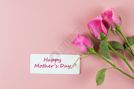 粉红玫瑰花和妇女节卡片图片