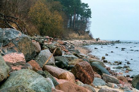生态伤心步行荒凉海岸的秋季景观岩石海岸荒芜的秋季景观图片