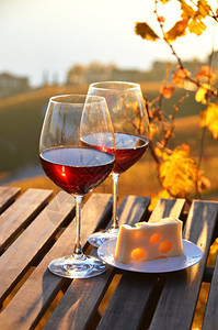 柴金叶子瑞士日内瓦湖的葡萄酒和争夺瑞士日内瓦湖桌子图片