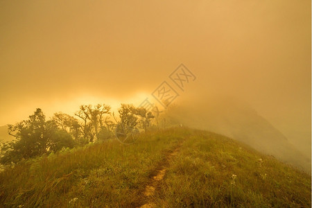 荒野山丘日出和雾陵巴伐利亚图片